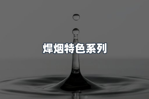 焊烟特色系列